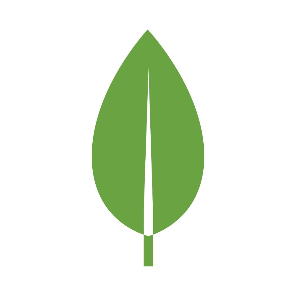 MongoDB